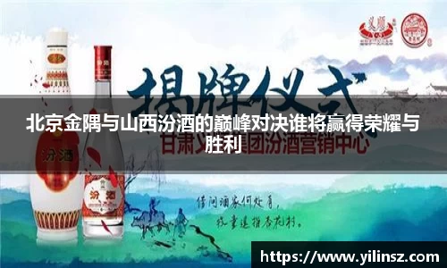 北京金隅与山西汾酒的巅峰对决谁将赢得荣耀与胜利